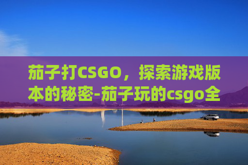 茄子打CSGO，探索游戏版本的秘密-茄子玩的csgo全名叫什么