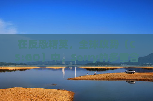 在反恐精英，全球攻势（CS:GO）中，Sorry的多重含义-