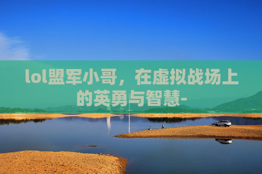 lol盟军小哥，在虚拟战场上的英勇与智慧-