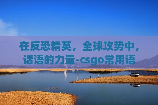 在反恐精英，全球攻势中，话语的力量-csgo常用语
