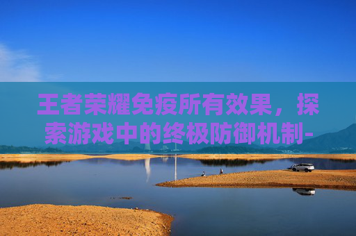 王者荣耀免疫所有效果，探索游戏中的终极防御机制-王者荣耀免疫所有效果怎么看