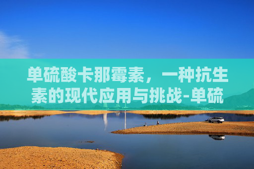 单硫酸卡那霉素，一种抗生素的现代应用与挑战-单硫酸卡那霉素可溶性粉