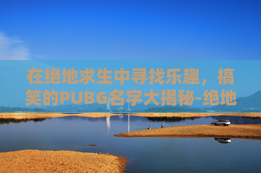 在绝地求生中寻找乐趣，搞笑的PUBG名字大揭秘-绝地求生搞笑名字