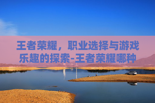 王者荣耀，职业选择与游戏乐趣的探索-王者荣耀哪种职业最强