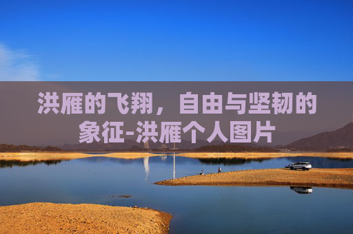洪雁的飞翔，自由与坚韧的象征-洪雁个人图片