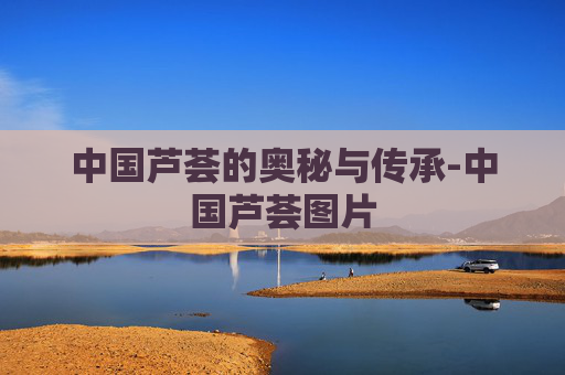 中国芦荟的奥秘与传承-中国芦荟图片