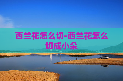 西兰花怎么切-西兰花怎么切成小朵