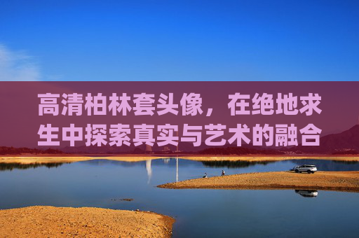 高清柏林套头像，在绝地求生中探索真实与艺术的融合-pubg柏林套原价多少钱