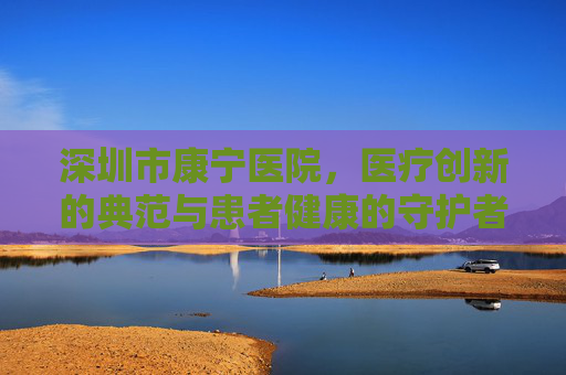 深圳市康宁医院，医疗创新的典范与患者健康的守护者-深圳市康宁医院领导班子