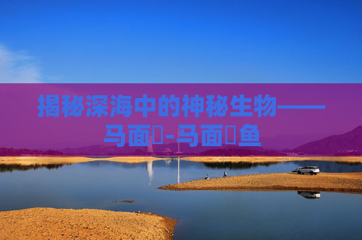揭秘深海中的神秘生物——马面鲀-马面鲀鱼