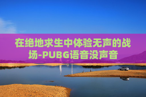 在绝地求生中体验无声的战场-PUBG语音没声音