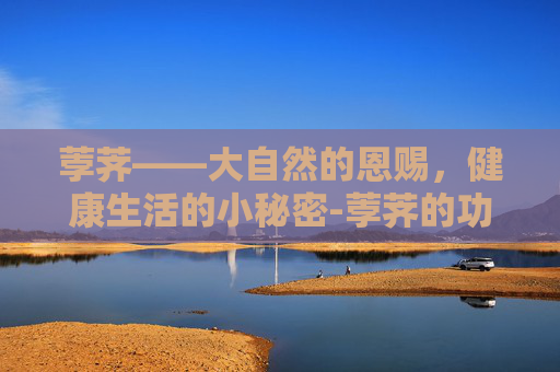 荸荠——大自然的恩赐，健康生活的小秘密-荸荠的功效与作用及禁忌是什么