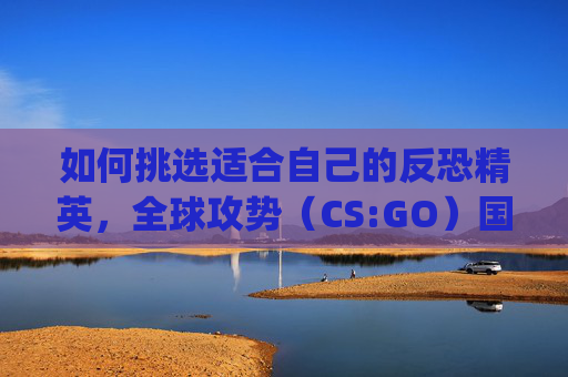 如何挑选适合自己的反恐精英，全球攻势（CS:GO）国际服-csgo选国际服还是国服界面