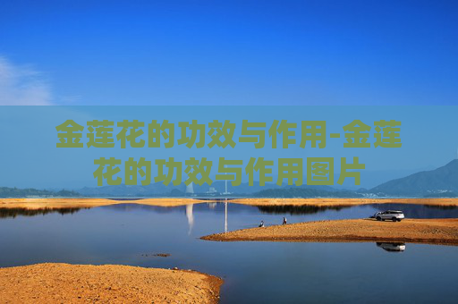 金莲花的功效与作用-金莲花的功效与作用图片