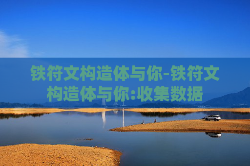 铁符文构造体与你-铁符文构造体与你:收集数据