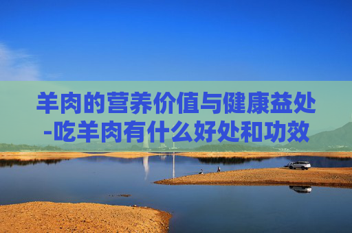 羊肉的营养价值与健康益处-吃羊肉有什么好处和功效