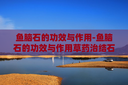 鱼脑石的功效与作用-鱼脑石的功效与作用草药治结石特效