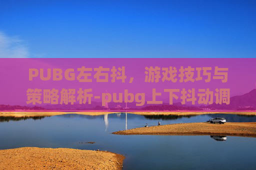 PUBG左右抖，游戏技巧与策略解析-pubg上下抖动调什么
