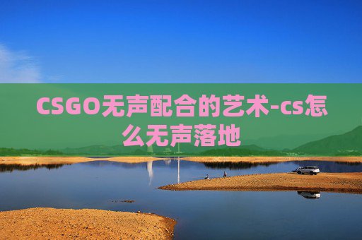 CSGO无声配合的艺术-cs怎么无声落地