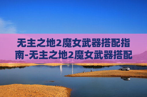 无主之地2魔女武器搭配指南-无主之地2魔女武器搭配推荐