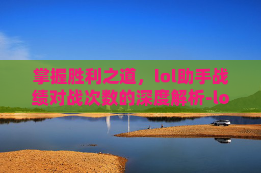 掌握胜利之道，lol助手战绩对战次数的深度解析-lol助手战绩对战次数怎么看