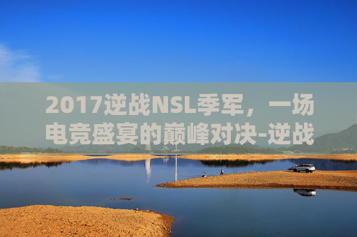 2017逆战NSL季军，一场电竞盛宴的巅峰对决-逆战nsl联赛冠军