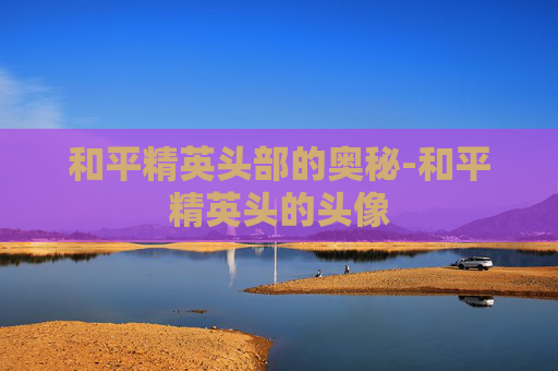 和平精英头部的奥秘-和平精英头的头像