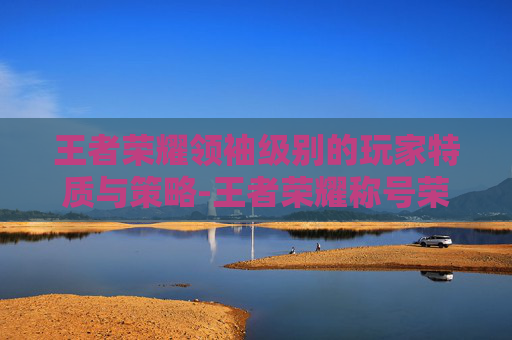 王者荣耀领袖级别的玩家特质与策略-王者荣耀称号荣耀领袖