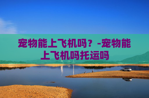 宠物能上飞机吗？-宠物能上飞机吗托运吗