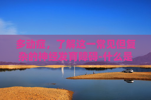 多动症，了解这一常见但复杂的神经发育障碍-什么是多动症的症状
