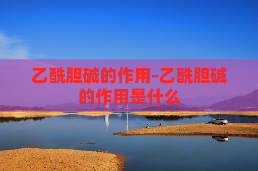 乙酰胆碱的作用-乙酰胆碱的作用是什么