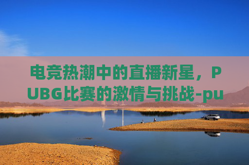 电竞热潮中的直播新星，PUBG比赛的激情与挑战-pubg直播官方比赛