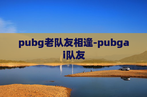 pubg老队友相逢-pubgai队友