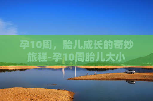 孕10周，胎儿成长的奇妙旅程-孕10周胎儿大小