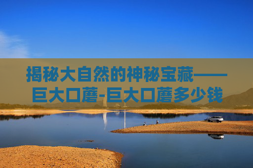 揭秘大自然的神秘宝藏——巨大口蘑-巨大口蘑多少钱一斤
