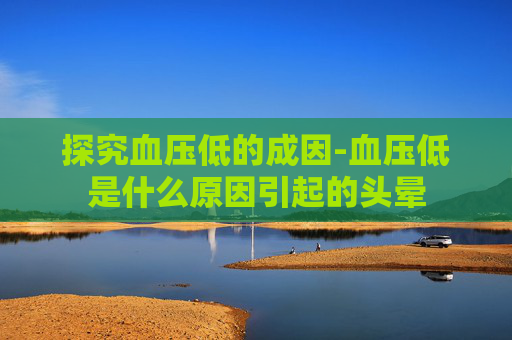 探究血压低的成因-血压低是什么原因引起的头晕
