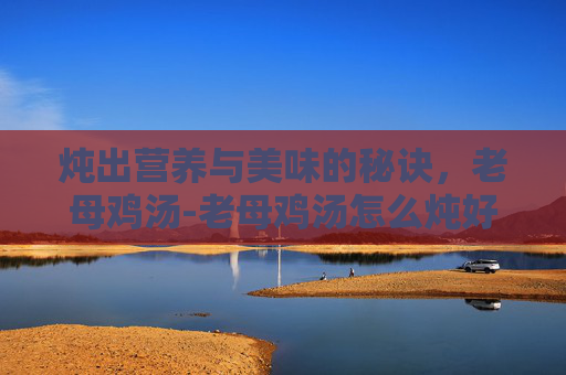 炖出营养与美味的秘诀，老母鸡汤-老母鸡汤怎么炖好喝又营养放什么调料