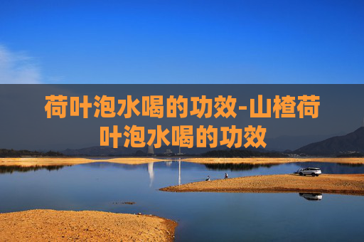 荷叶泡水喝的功效-山楂荷叶泡水喝的功效