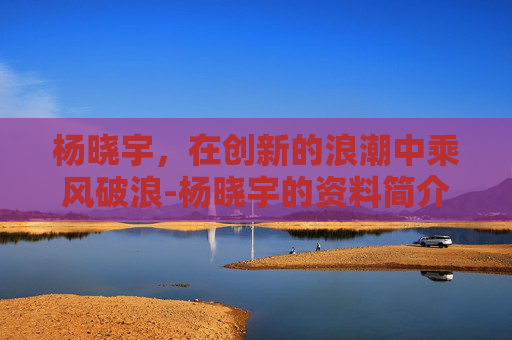杨晓宇，在创新的浪潮中乘风破浪-杨晓宇的资料简介
