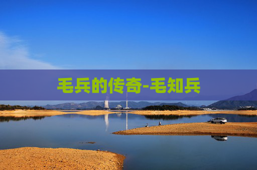 毛兵的传奇-毛知兵