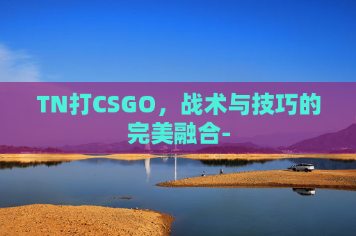 TN打CSGO，战术与技巧的完美融合-