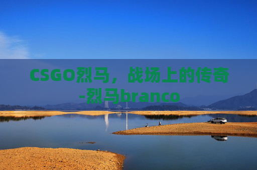 CSGO烈马，战场上的传奇-烈马branco