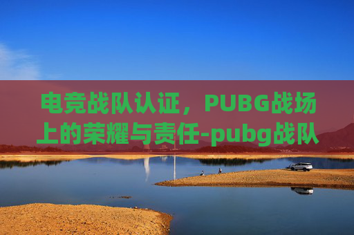 电竞战队认证，PUBG战场上的荣耀与责任-pubg战队认证官网