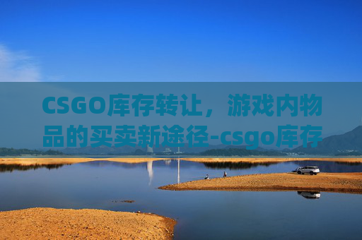 CSGO库存转让，游戏内物品的买卖新途径-csgo库存被倒卖解决方案