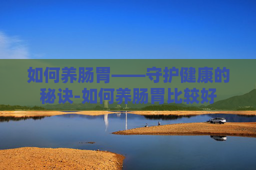 如何养肠胃——守护健康的秘诀-如何养肠胃比较好