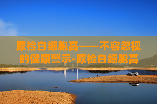 尿检白细胞高——不容忽视的健康警示-尿检白细胞高怎么调理