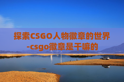 探索CSGO人物徽章的世界-csgo徽章是干嘛的