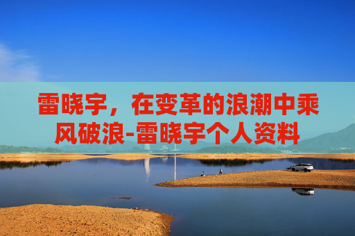 雷晓宇，在变革的浪潮中乘风破浪-雷晓宇个人资料