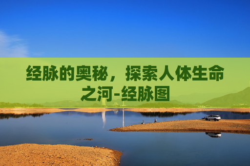 经脉的奥秘，探索人体生命之河-经脉图
