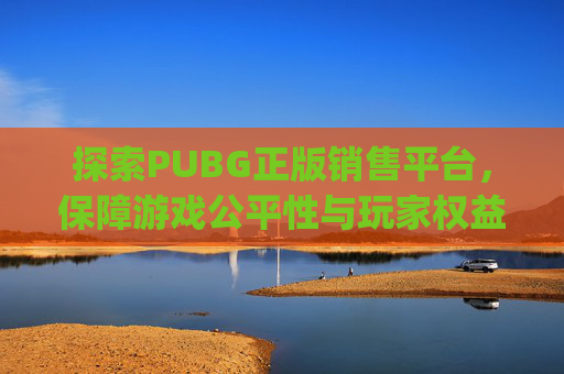 探索PUBG正版销售平台，保障游戏公平性与玩家权益-卖pubg号的平台
